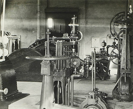 Interior lundy plant